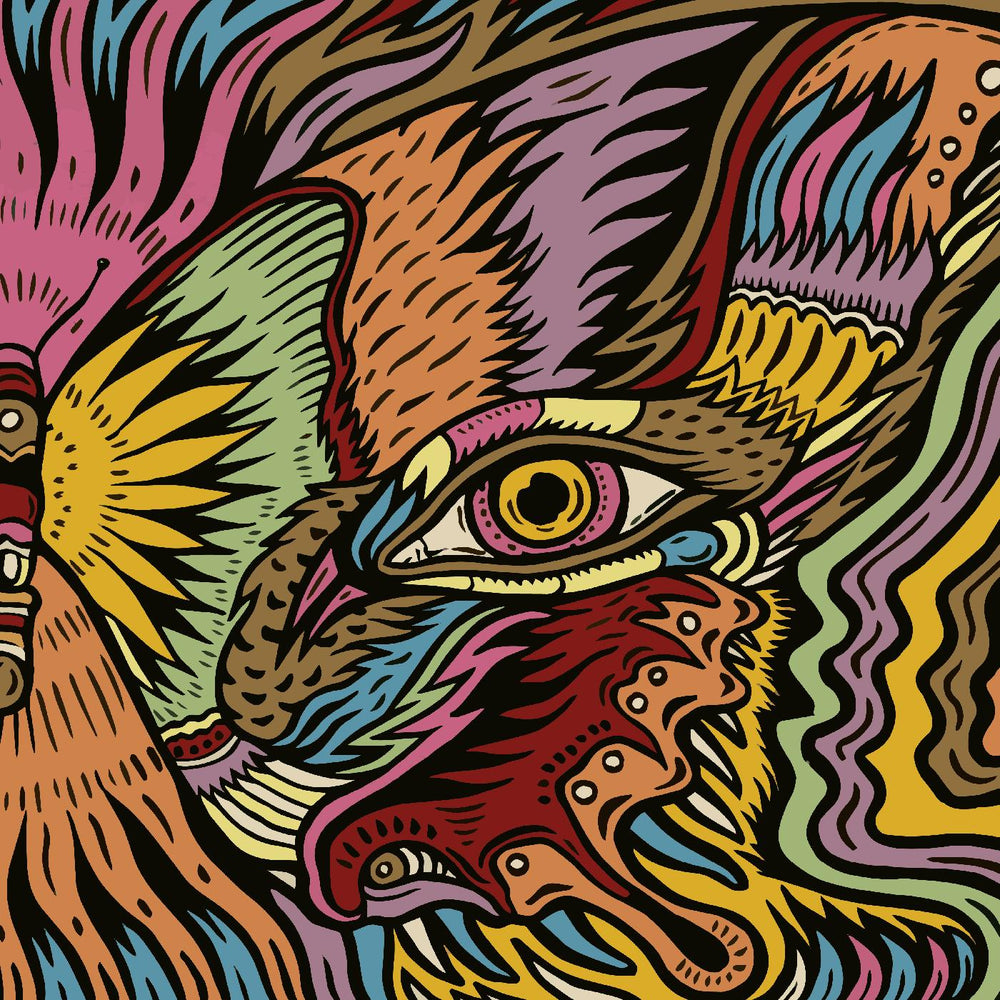 Tronosonic Experience - The Shadow Vol.2 [Vinyl] (ONLINE ORDER ONLY)