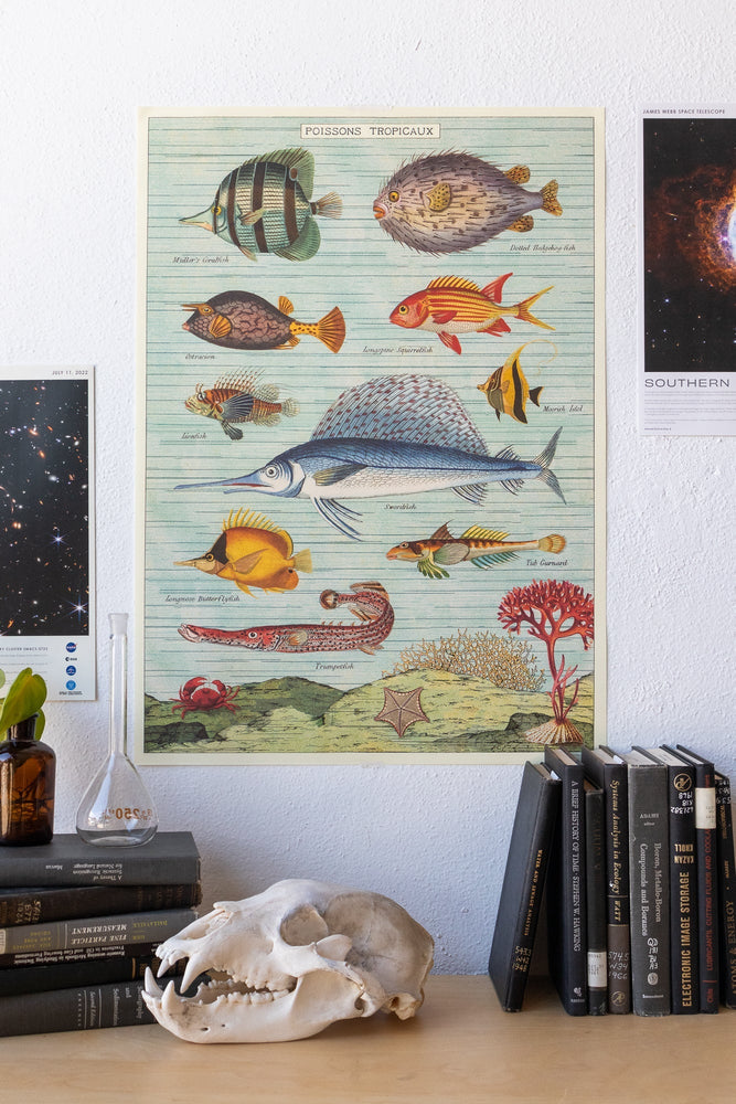 Tropical Fish Chart (ONLINE ORDER ONLY)
