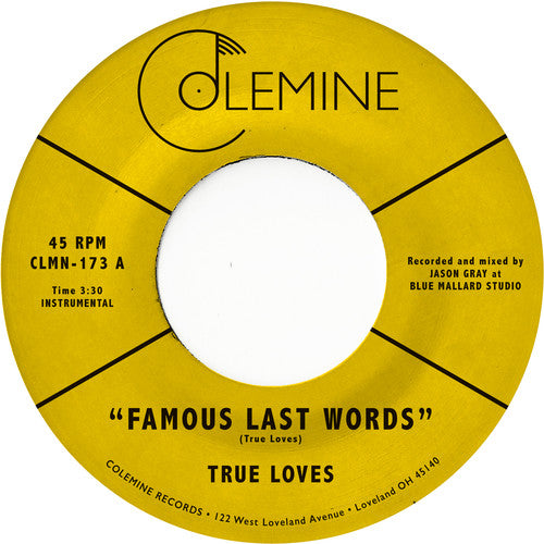 Famous Last Words (7" Single) [Vinyl]
