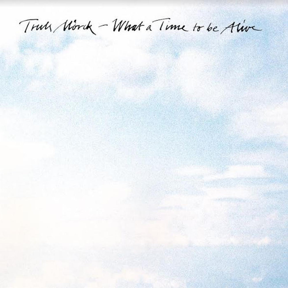 What a Time To Be Alive [Vinyl]