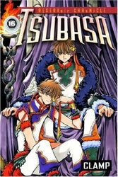 Tsubasa Reservoir Chronicle Vol 16 (Online Order Only)