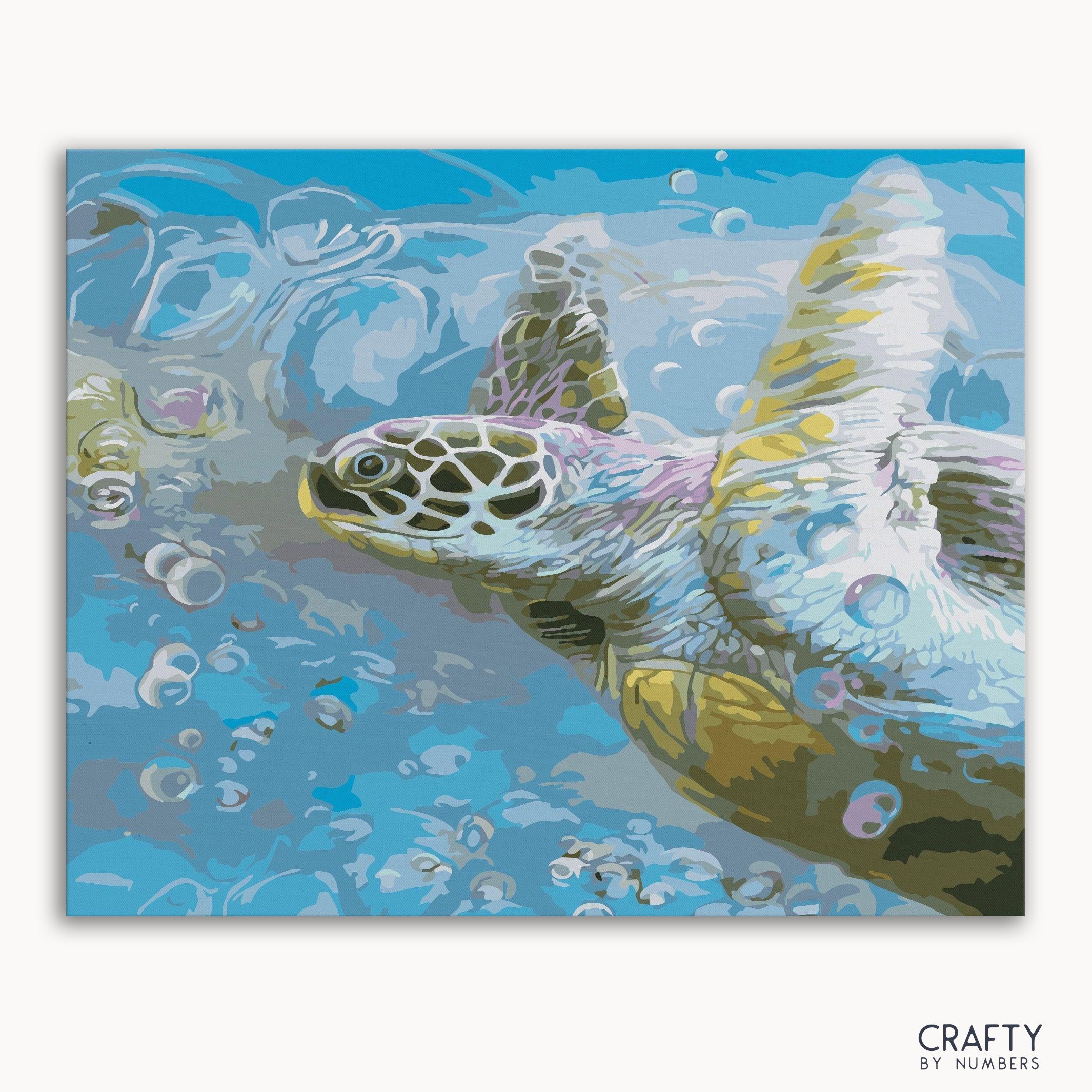 Turtle Hawksbill Sea (ONLINE ORDER ONLY)