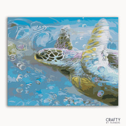 Turtle Hawksbill Sea (ONLINE ORDER ONLY)