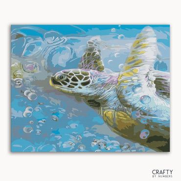 Turtle Hawksbill Sea (ONLINE ORDER ONLY)