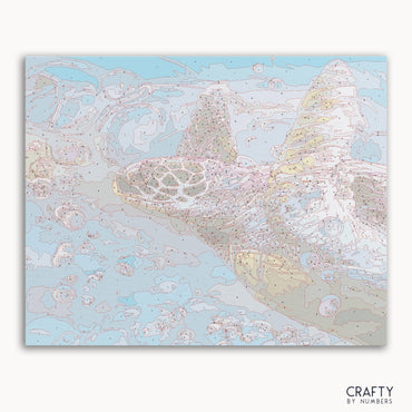 Turtle Hawksbill Sea (ONLINE ORDER ONLY)