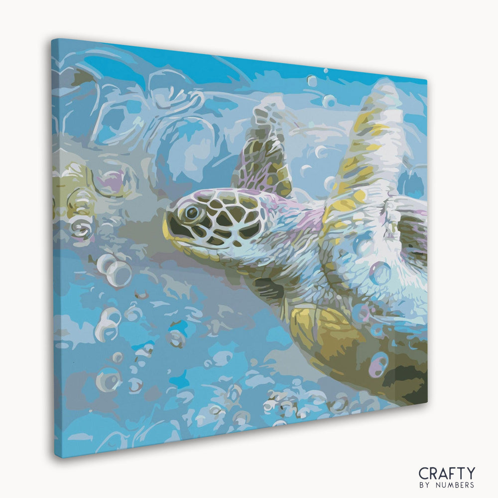 Turtle Hawksbill Sea (ONLINE ORDER ONLY)