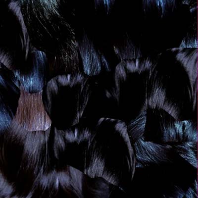 GYU [Vinyl]