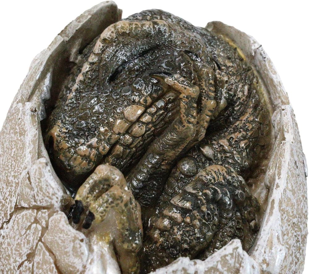 Tyrannosaurus Rex (Sleeping in Egg) Hatchling Jurassic Dinosaur Figurine (Online Order Only)