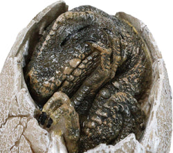 Tyrannosaurus Rex (Sleeping in Egg) Hatchling Jurassic Dinosaur Figurine (Online Order Only)