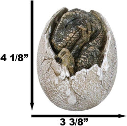Tyrannosaurus Rex (Sleeping in Egg) Hatchling Jurassic Dinosaur Figurine (Online Order Only)