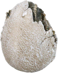 Tyrannosaurus Rex (Sleeping in Egg) Hatchling Jurassic Dinosaur Figurine (Online Order Only)