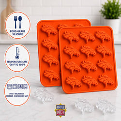 Denver Broncos Ice Cube Tray
