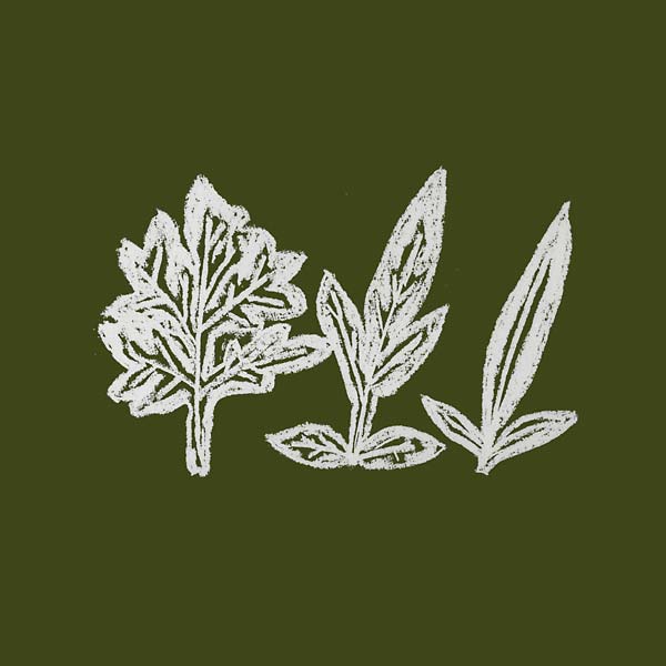 Variations of Weeds [CD]