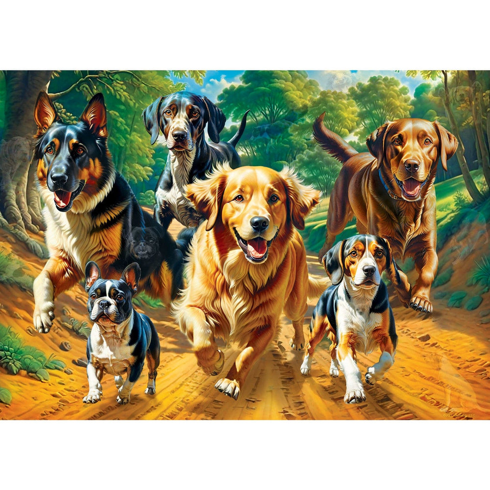 Hidden Images - Trail Running 500 Piece Jigsaw Puzzle
