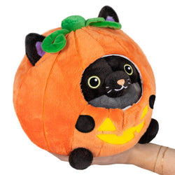 Squishable Kitty in Pumpkin (Undercover) (ONLINE ORDER ONLY)