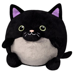 Squishable Kitty in Pumpkin (Undercover) (ONLINE ORDER ONLY)