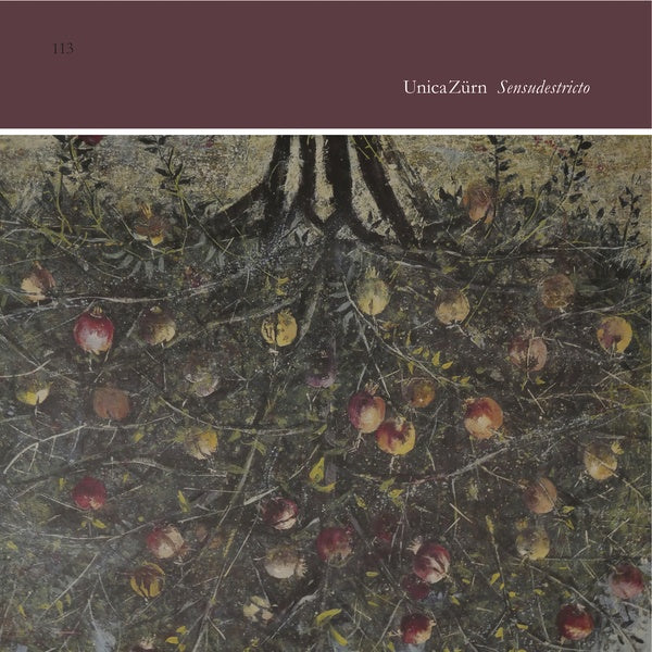 UNICAZURN - Sensudestricto [Vinyl]