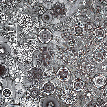 UNITS AND MEASUREMENTS - Units And Measurements [Vinyl] (ONLINE ORDER ONLY)