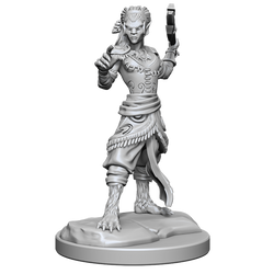 D&D: Nolzur's Marvelous Miniatures - Shifter Fighter (ONLINE ORDER ONLY)