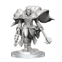 D&D: Nolzur's Marvelous Miniatures - Aasimar Cleric Male (ONLINE ORDER ONLY)