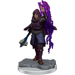 D&D: Nolzur's Marvelous Miniatures - Half-Elf Warlock (ONLINE ORDER ONLY)