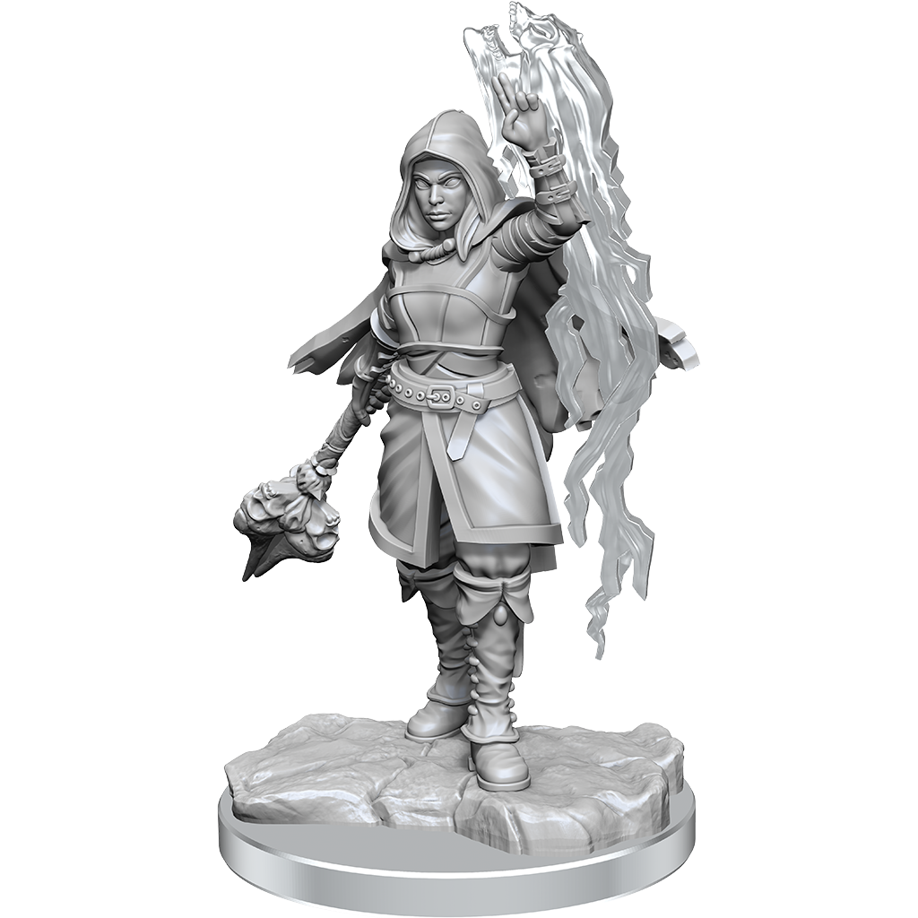 D&D: Nolzur's Marvelous Miniatures - Half-Elf Warlock (ONLINE ORDER ONLY)