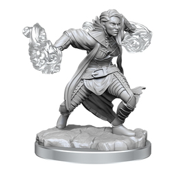D&D: Nolzur's Marvelous Miniatures - Half-Elf Warlock (ONLINE ORDER ONLY)