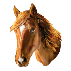 Horse 100 Piece Shaped Jigsaw Puzzle (ONLINE ORDER ONLY)