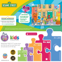 Sesame Street - In the Neighborhood 48 Piece Jigsaw Puzzle (ONLINE ORDER ONLY)