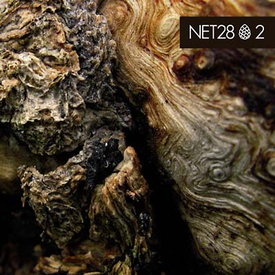 2 [CD] (ONLINE ORDER ONLY)