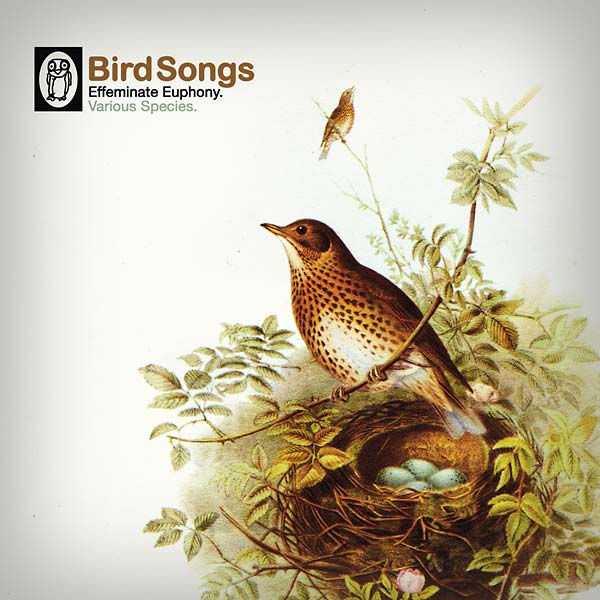 Va - Bird Songs [Vinyl] (ONLINE ORDER ONLY)
