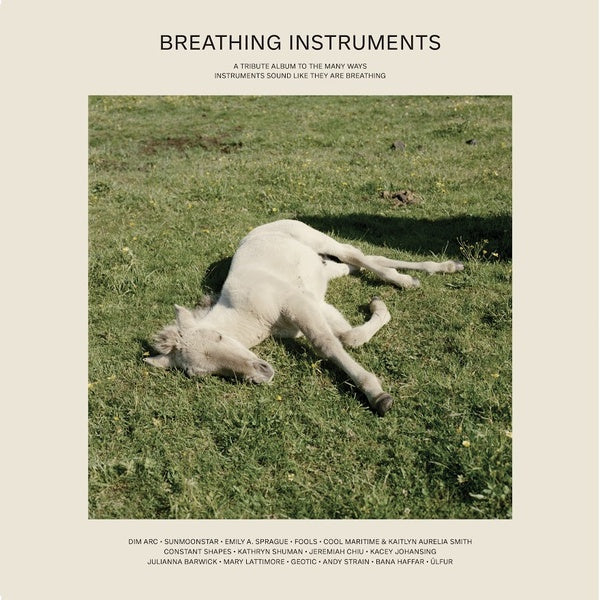Breathing Instruments [Vinyl] (ONLINE ORDER ONLY)