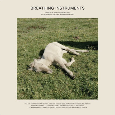 Breathing Instruments [Vinyl] (ONLINE ORDER ONLY)