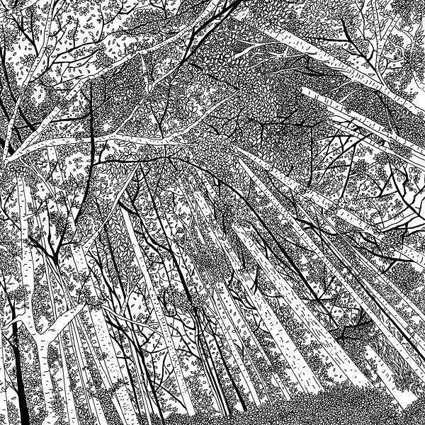 Displaced Soundtracks [Vinyl] (ONLINE ORDER ONLY)