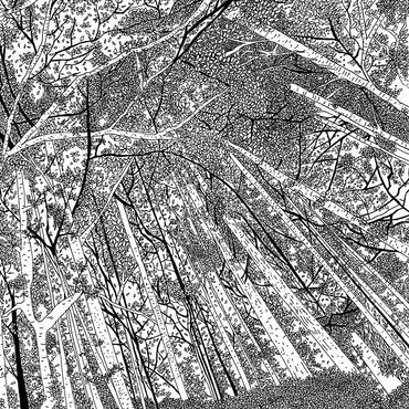 Displaced Soundtracks [Vinyl] (ONLINE ORDER ONLY)