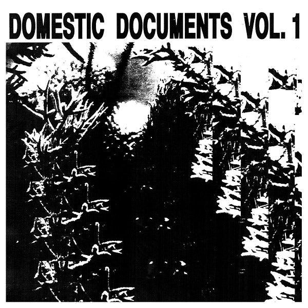 Va - Domestic Documents Vol. 1: Compiled by Butter Sessions and Noise In My Head [Vinyl] (ONLINE ORDER ONLY)