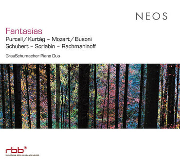 Va - Fantasias [CD] (ONLINE ORDER ONLY)