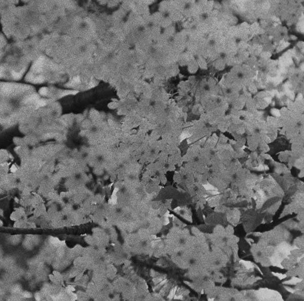 Va - HFF Vol. 1 [Vinyl] (ONLINE ORDER ONLY)