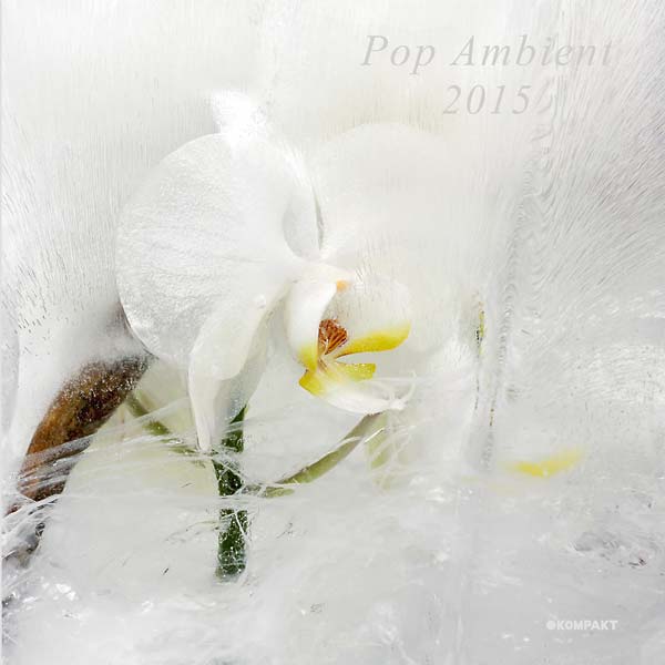 Pop Ambient 2015 [CD]