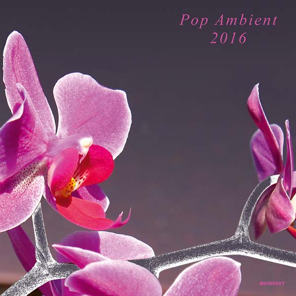 Pop Ambient 2016 [Vinyl] (ONLINE ORDER ONLY)