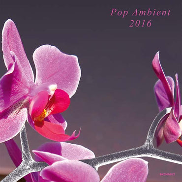 Pop Ambient 2016 [Vinyl] (ONLINE ORDER ONLY)