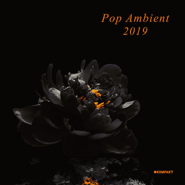 Pop Ambient 2019 [Vinyl]