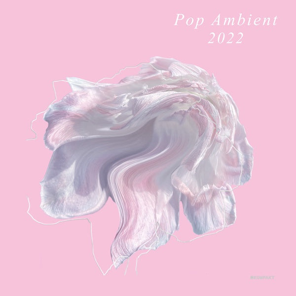 Pop Ambient 2022 [Vinyl]