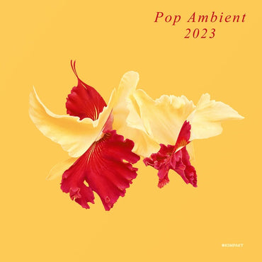 Va - Pop Ambient 2023 [Vinyl] (ONLINE ORDER ONLY)