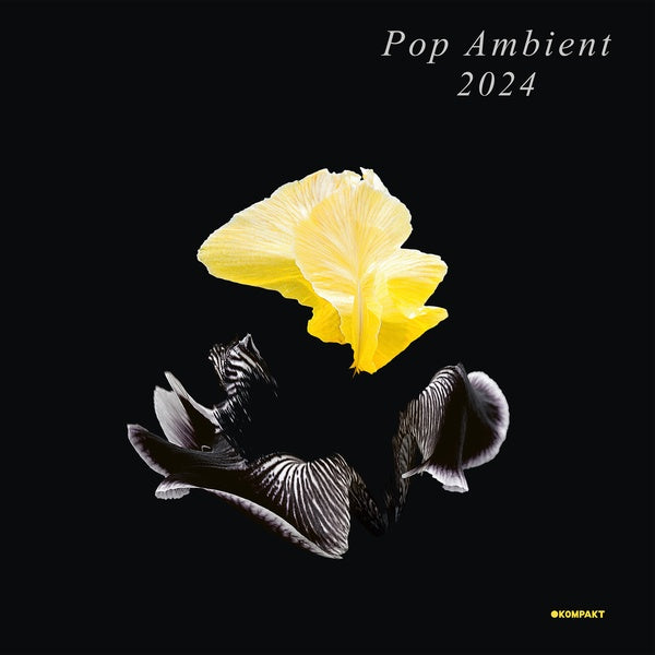 Va - Pop Ambient 2024 [Vinyl] (ONLINE ORDER ONLY)