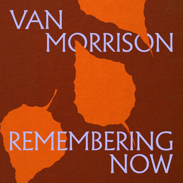 Remembering Now (2 LP) [Vinyl] (ONLINE ORDER ONLY)