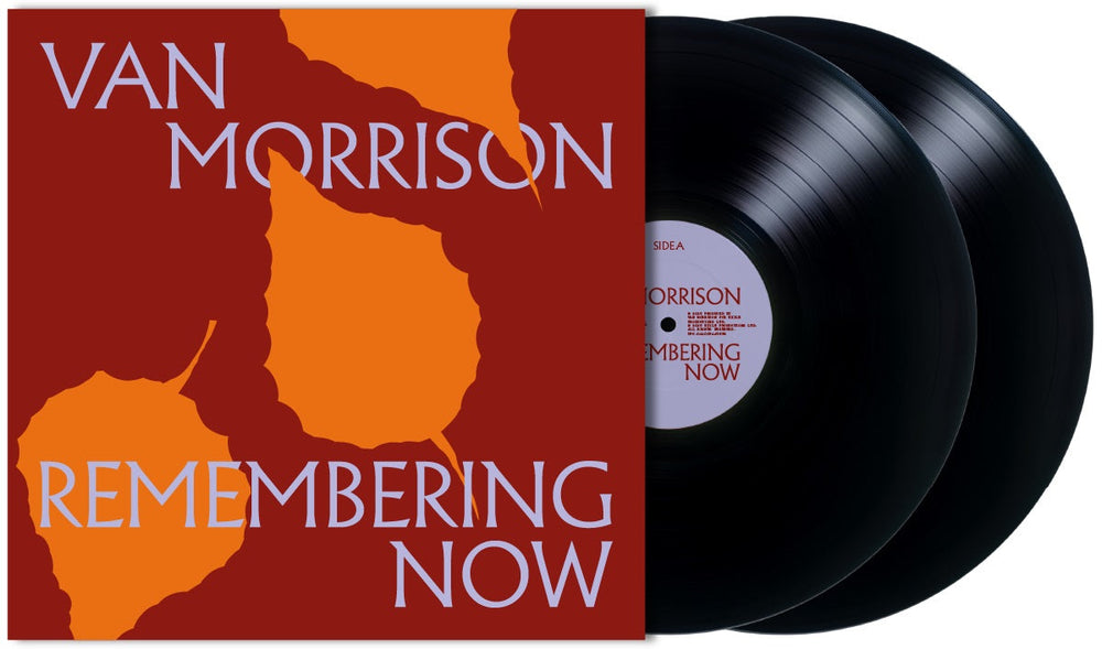 Remembering Now (2 LP) [Vinyl] (ONLINE ORDER ONLY)