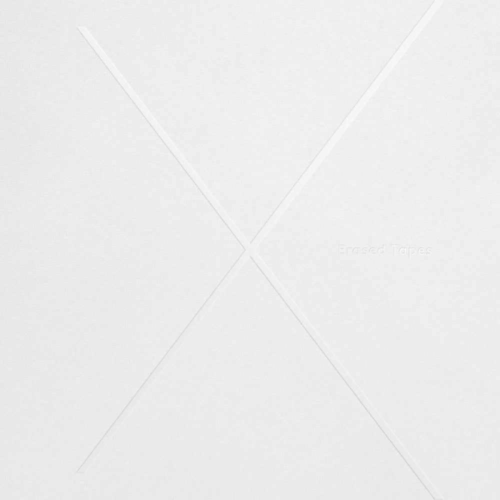 Various Artists - 1+1=X [Vinyl] (ONLINE ORDER ONLY)