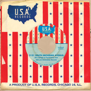Various Artists - 2131 South Michigan Avenue: 60's Garage & Psychedelia from USA and Destination Records [CD] (ONLINE ORDER ONLY)