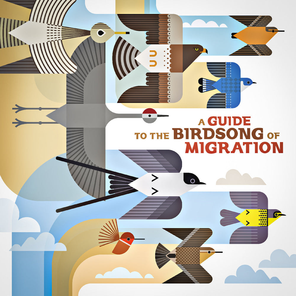 A Guide To The Birdsong Of Migration [CD] (ONLINE ORDER ONLY)
